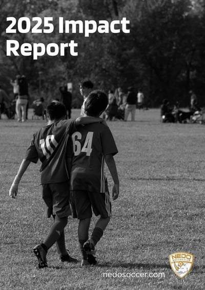 Nedo 2025 Impact Report_page-0001